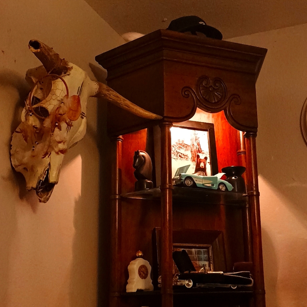 Cow scull